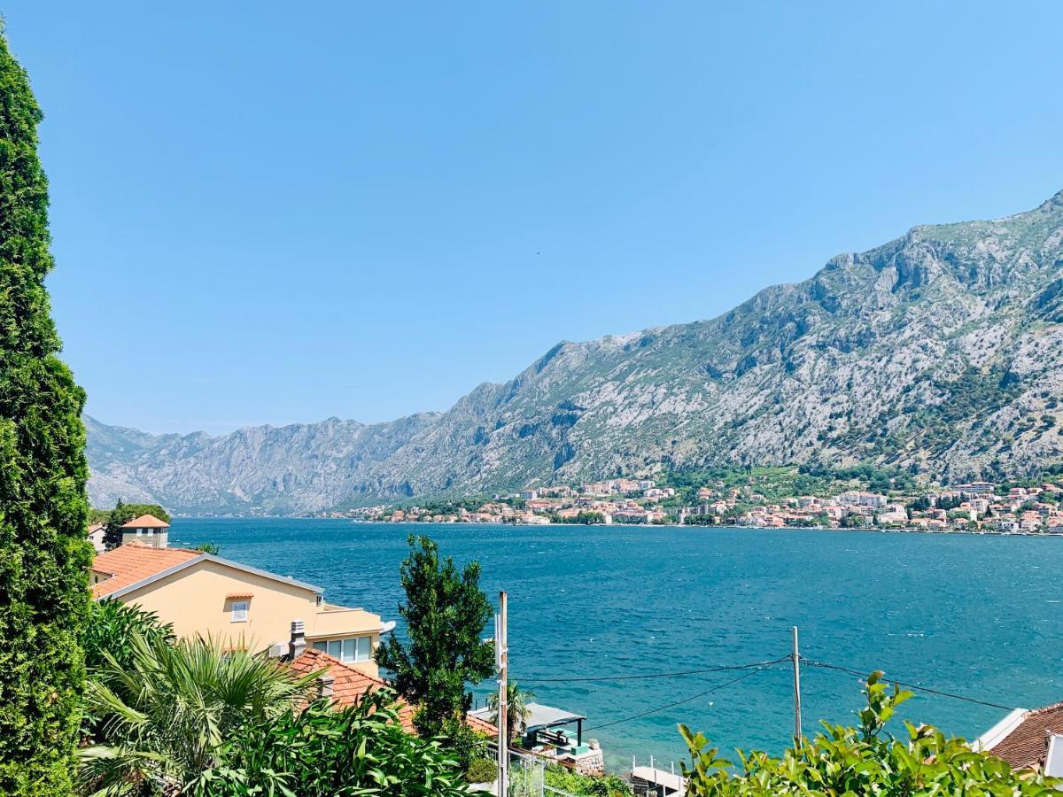 Kotor Muo Apartments A1 Extérieur photo